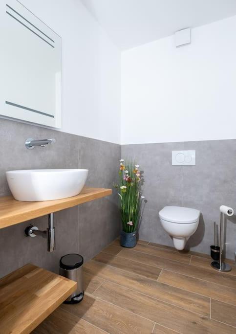 Ferienhaus Mountain View Six50 Mit Sauna Und Kamin In St. Andreasberg سانكت اندرياسبرغ المظهر الخارجي الصورة